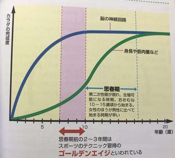 本　子どものスポーツ適齢期