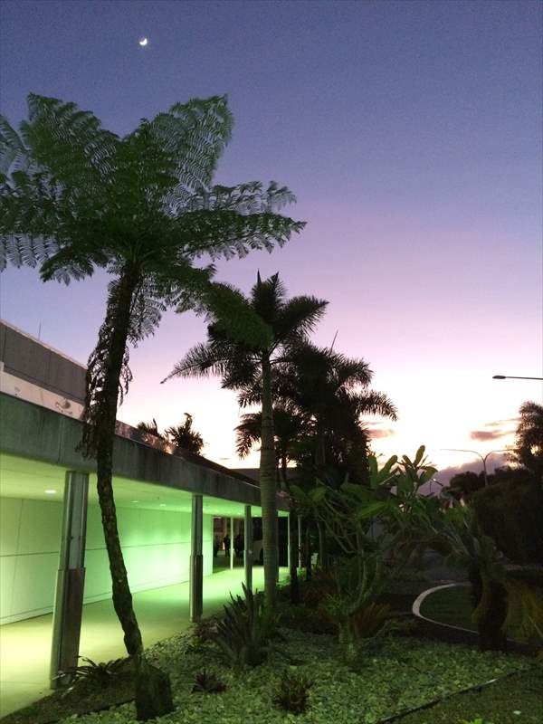 ケアンズ　明朝