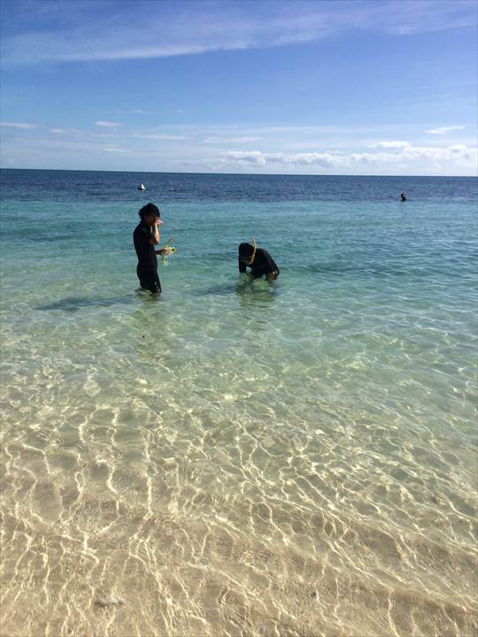 オーストラリアケアンズ　海