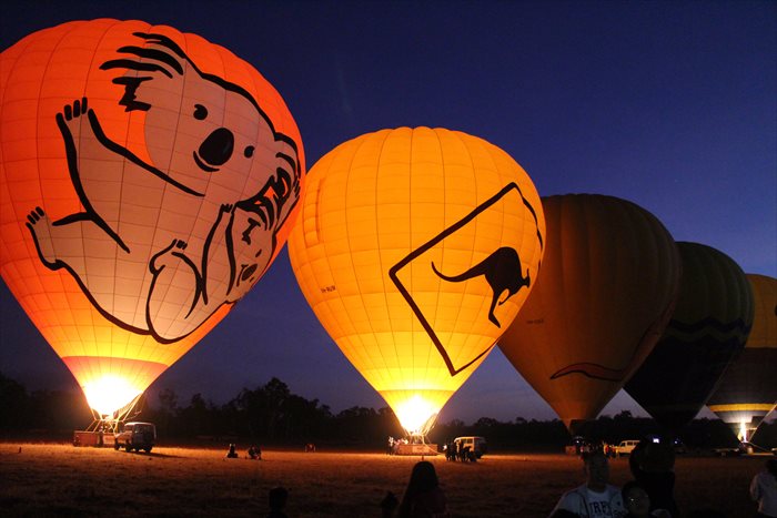 熱気球　コアラ