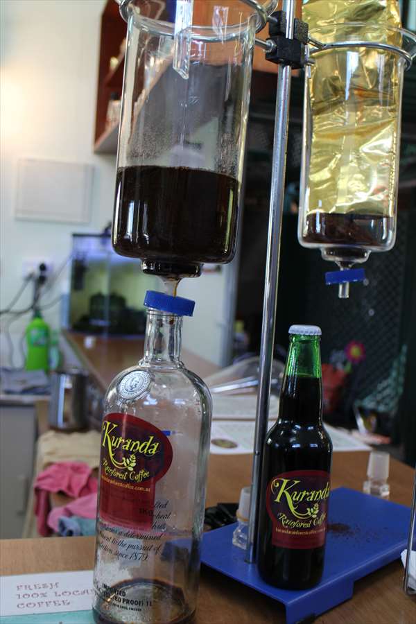 キュランダ　コーヒー