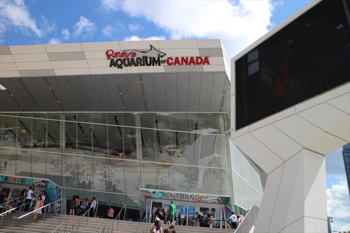 リプリー　水族館