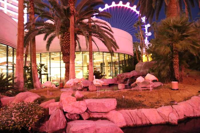 フラミンゴ　ラスベガス