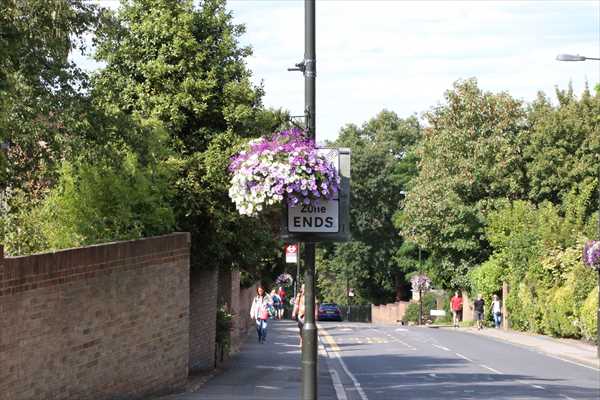 ウィンブルドン 花