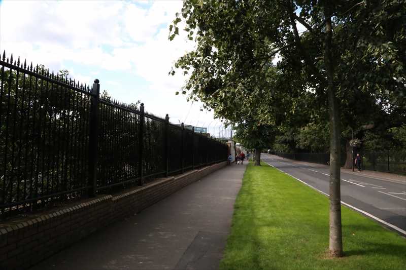 ウィンブルドン 芝生