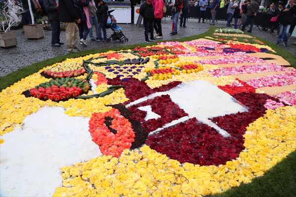 グランプラス　フラワータイム