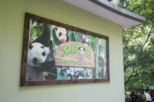 パンダ 上海動物園