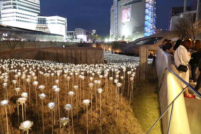 東大門(トンデムン)デザインプラザ　花