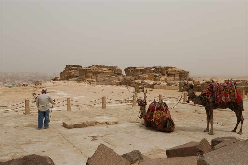 エジプト　ギザのピラミッド　ラクダ