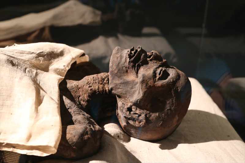 ルクソール博物館　ミイラ