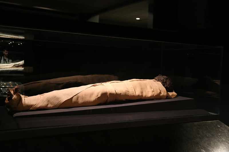 ルクソール博物館　ミイラ
