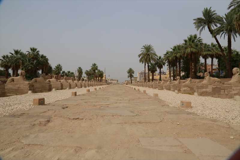 ルクソール　スフィンクスの参道