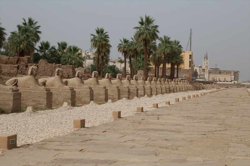 ルクソール　スフィンクスの参道