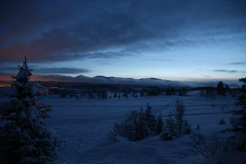 トロムソー　草原