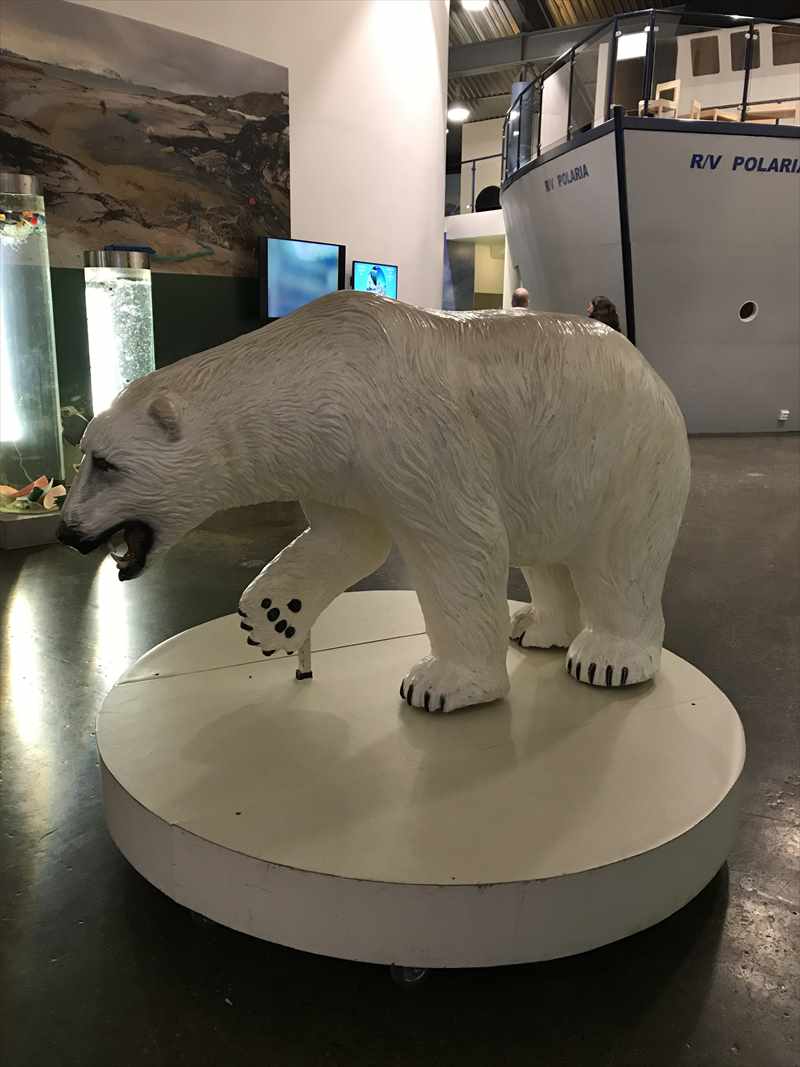 トロムソー　ポラリア　ホッキョクグマ