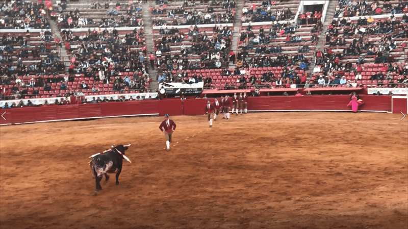 メキシコ　闘牛　フォルカド