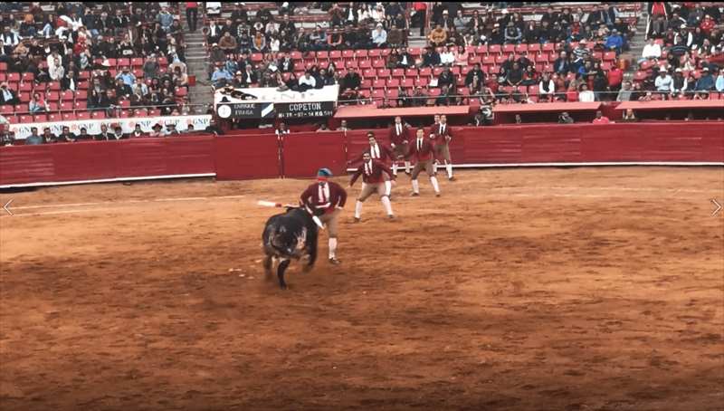 メキシコ　闘牛　フォルカド