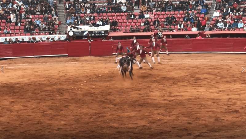 メキシコ　闘牛　フォルカド