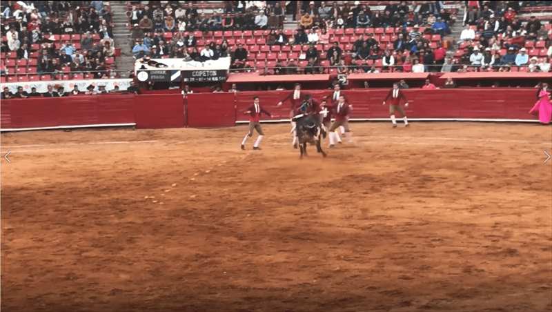 メキシコ　闘牛　フォルカド