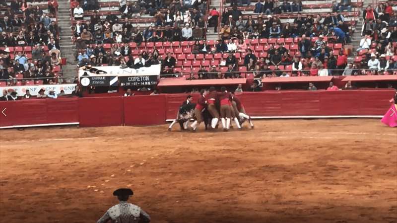 メキシコ　闘牛　フォルカド