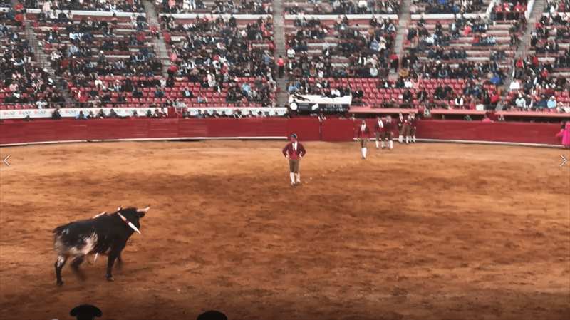 メキシコ　闘牛　フォルカド