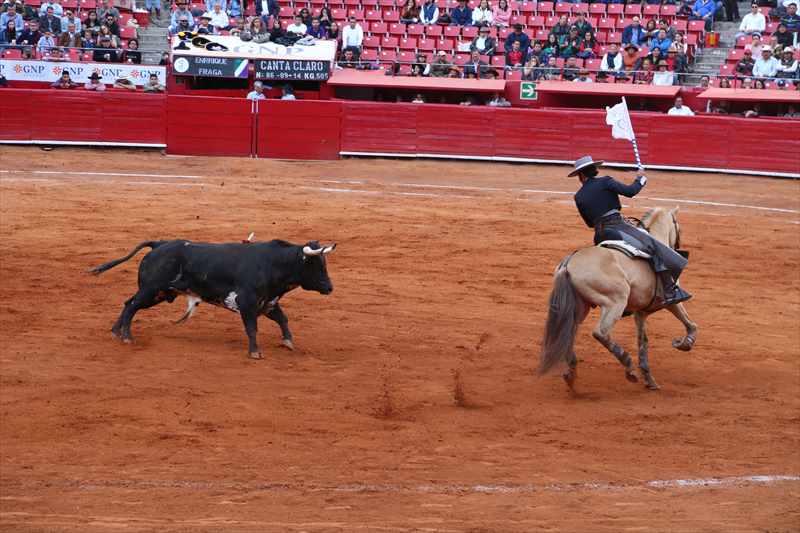 メキシコ　闘牛士　マタドール