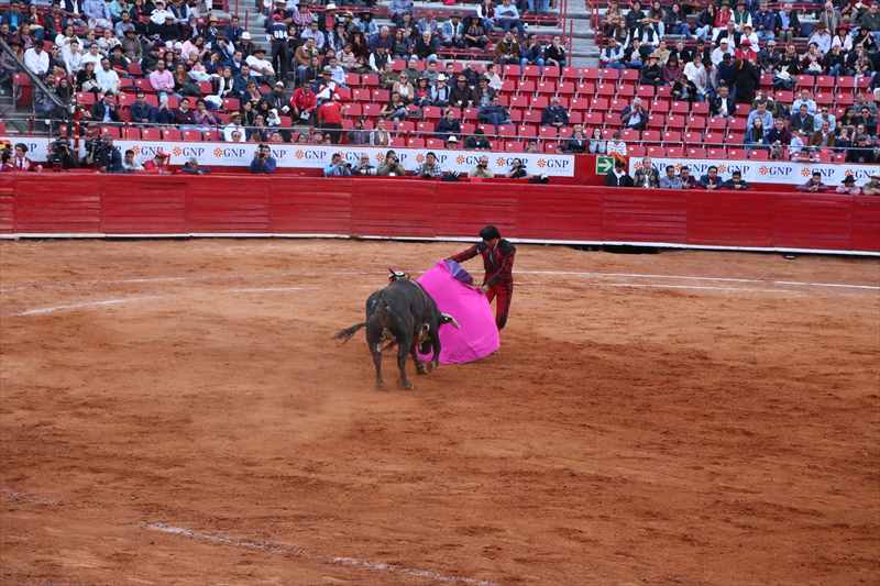 メキシコシティ　マタドール