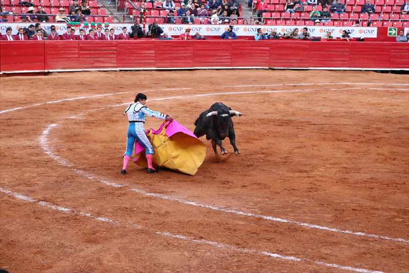 メキシコシティ マタドール