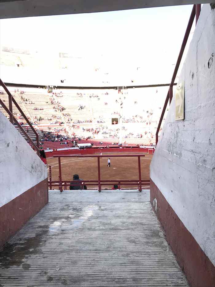 メキシコ　闘牛場　プラザメヒコ　スタジアム　通路