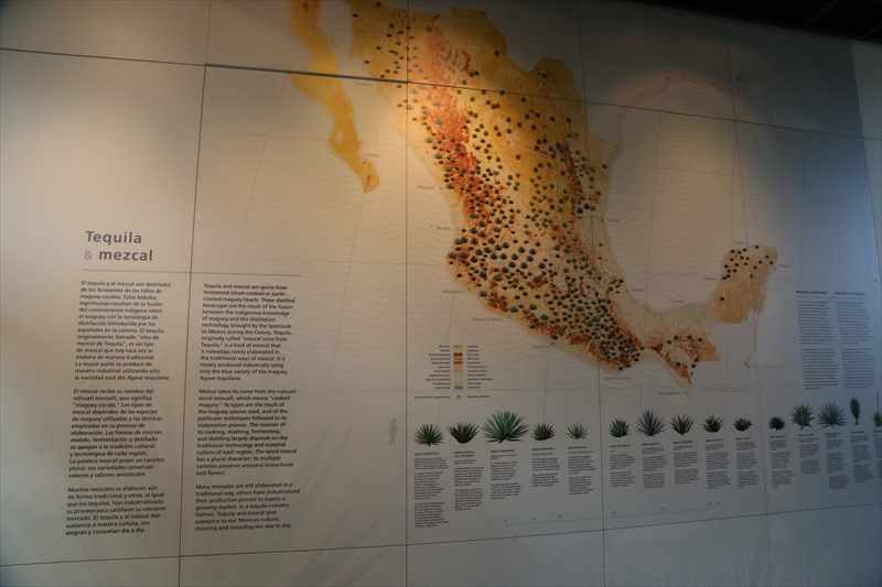メキシコシティ　テキーラ・メスカル博物館　歴史