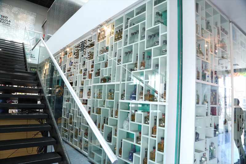 メキシコシティ　テキーラ・メスカル博物館　階段