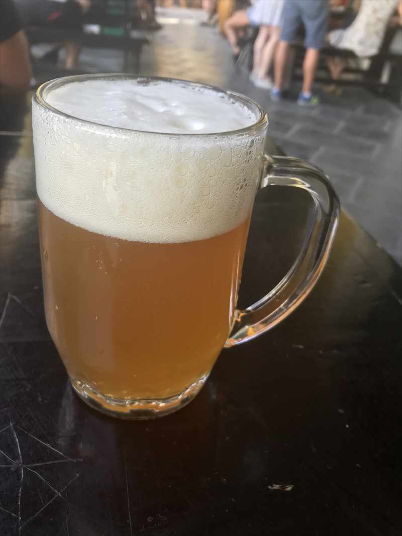 キューバ　ハバナ　セルベサスイマルタス