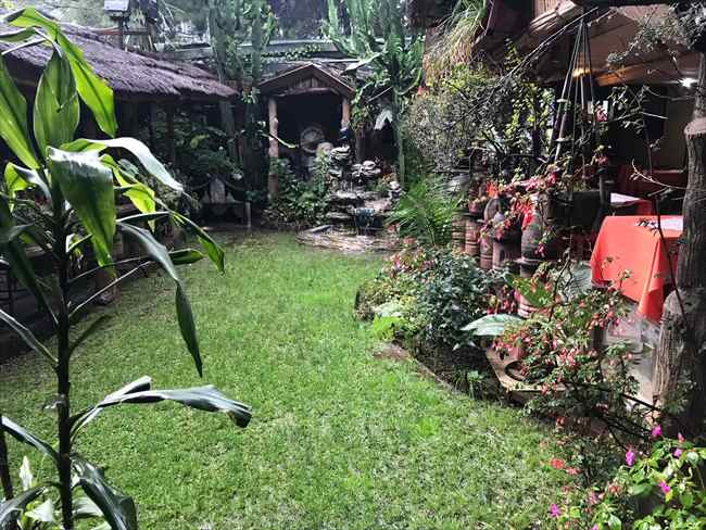 ルーシーラウンジ 中庭