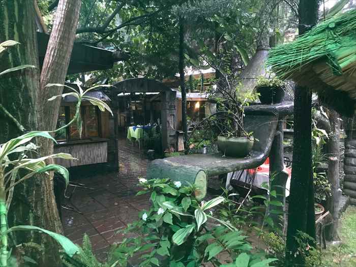 ルーシーラウンジ 中庭