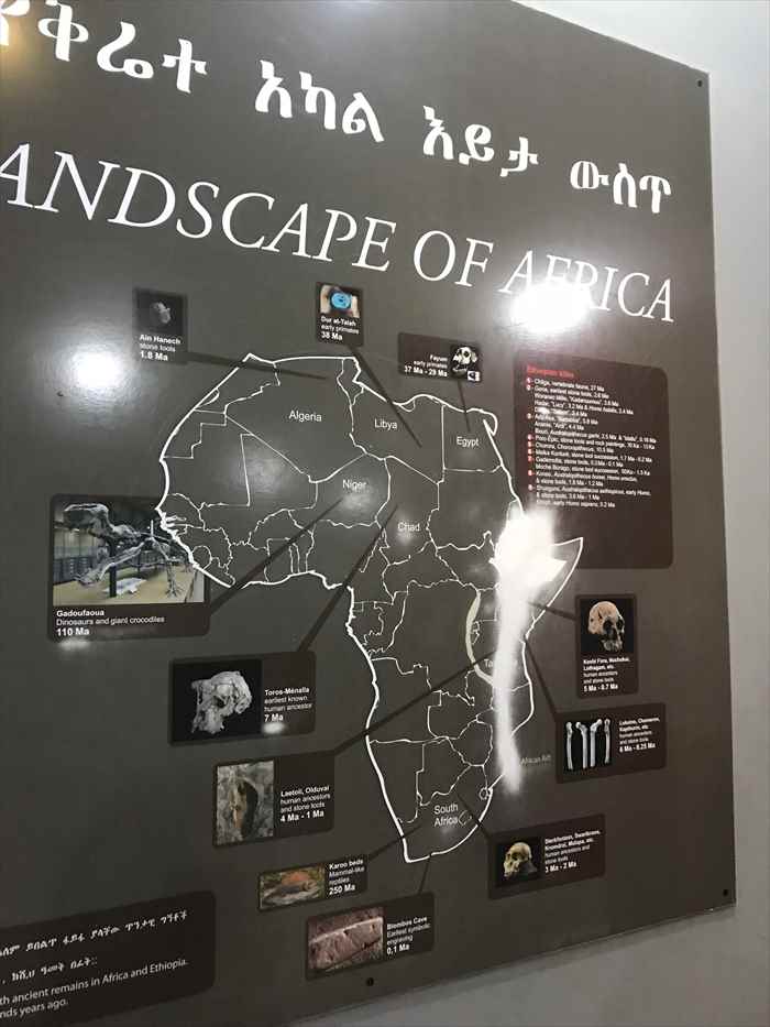 エチオピア 国立博物館 ルーシー 歴史