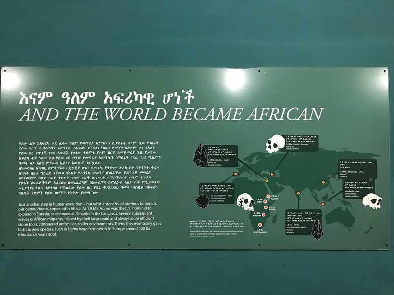 エチオピア 国立博物館 ルーシーアフリカ