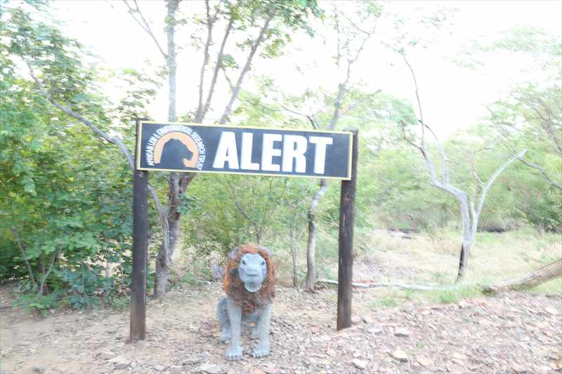 ライオンウォーク　アラート