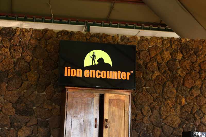 ライオンウォーク　エンカウンター