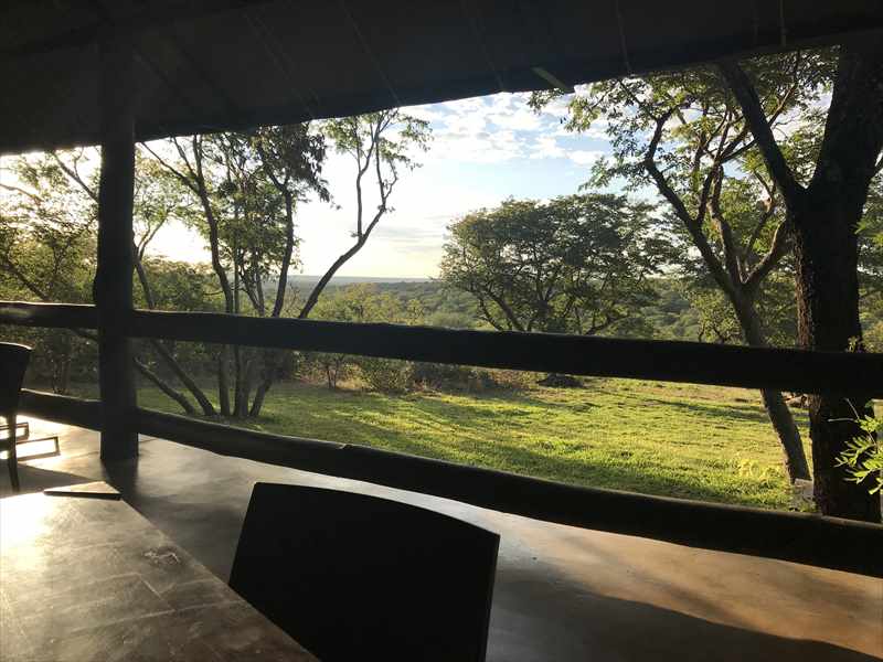 ライオン散歩　コテージ