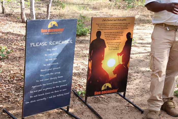 ライオンウォーク　注意点