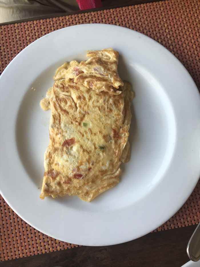 ビクトリアの滝　クレスタスプレービューホテル　卵焼き